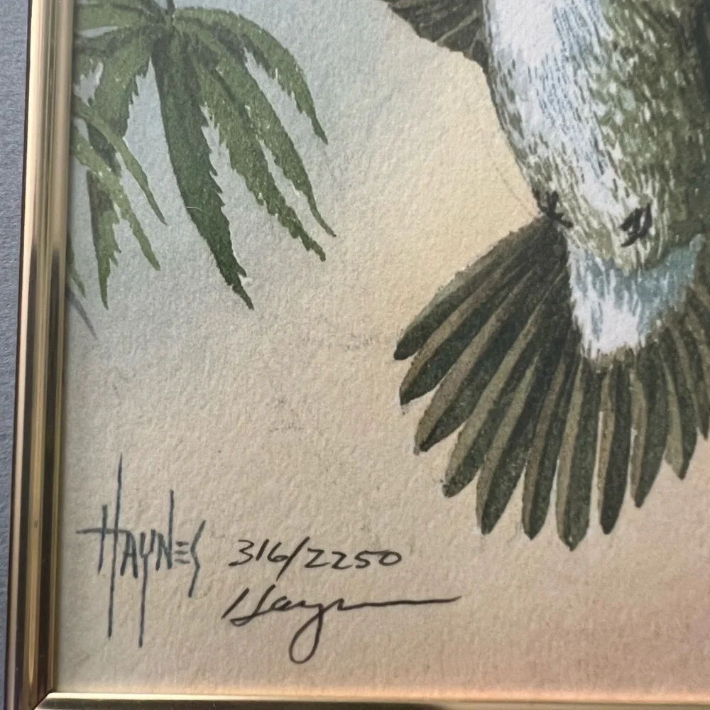 Hummingbird Watercolor by Haynes Framed
